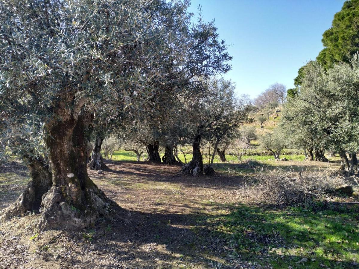 Valverde de la Vera Casa Rural La Picota מראה חיצוני תמונה