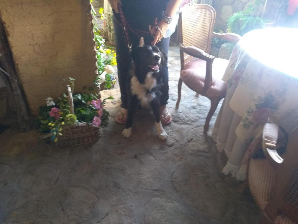 Valverde de la Vera Casa Rural La Picota מראה חיצוני תמונה